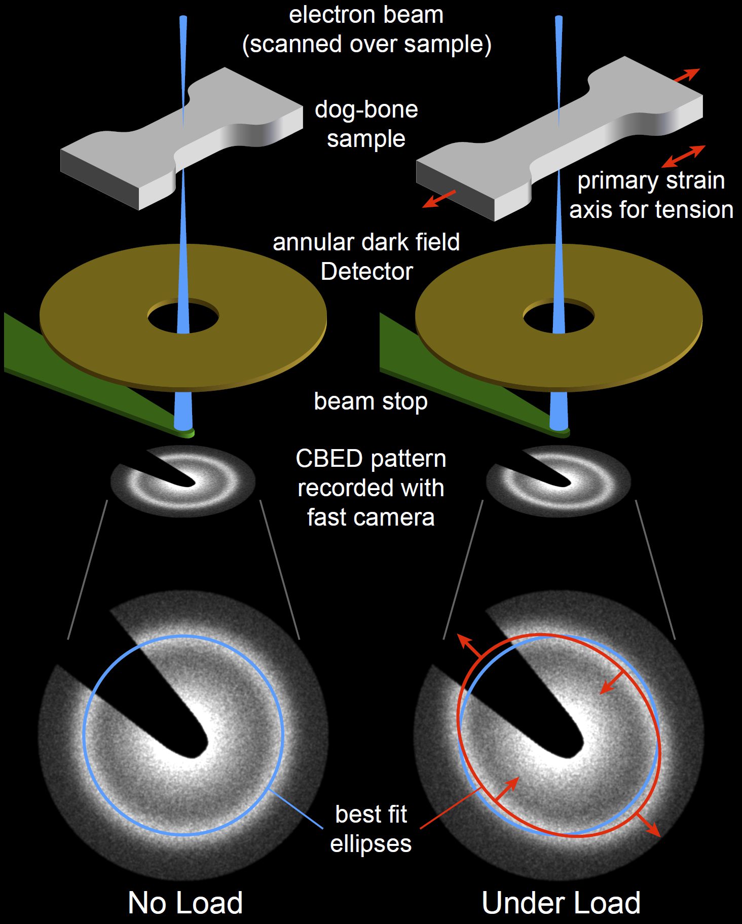 Schematic of an in-situ tension experiment on a metallic glass, with best-fit ellipses to the amorphous ring under load